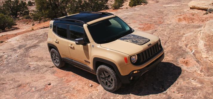 2017 Jeep Renegade NJ