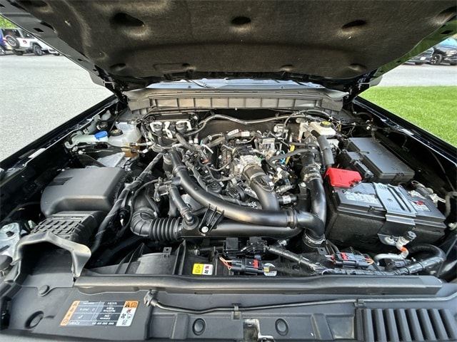 View 14