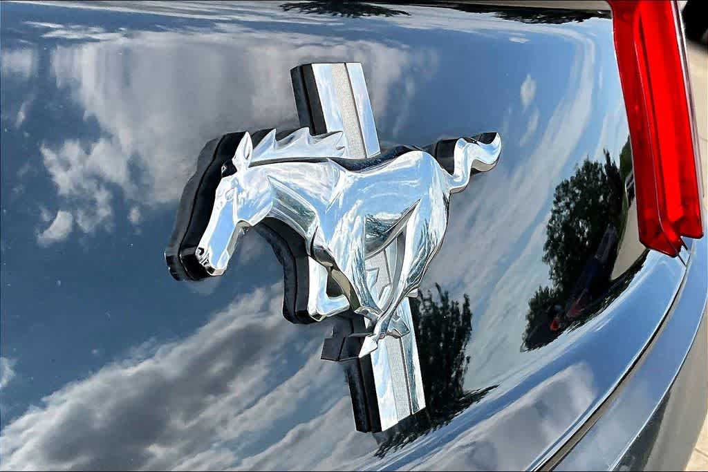 Thumbnail: 2017 Ford Mustang - 32