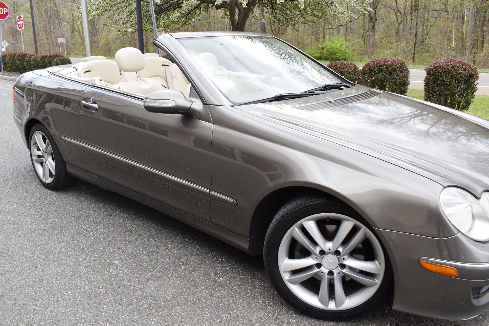 View 41