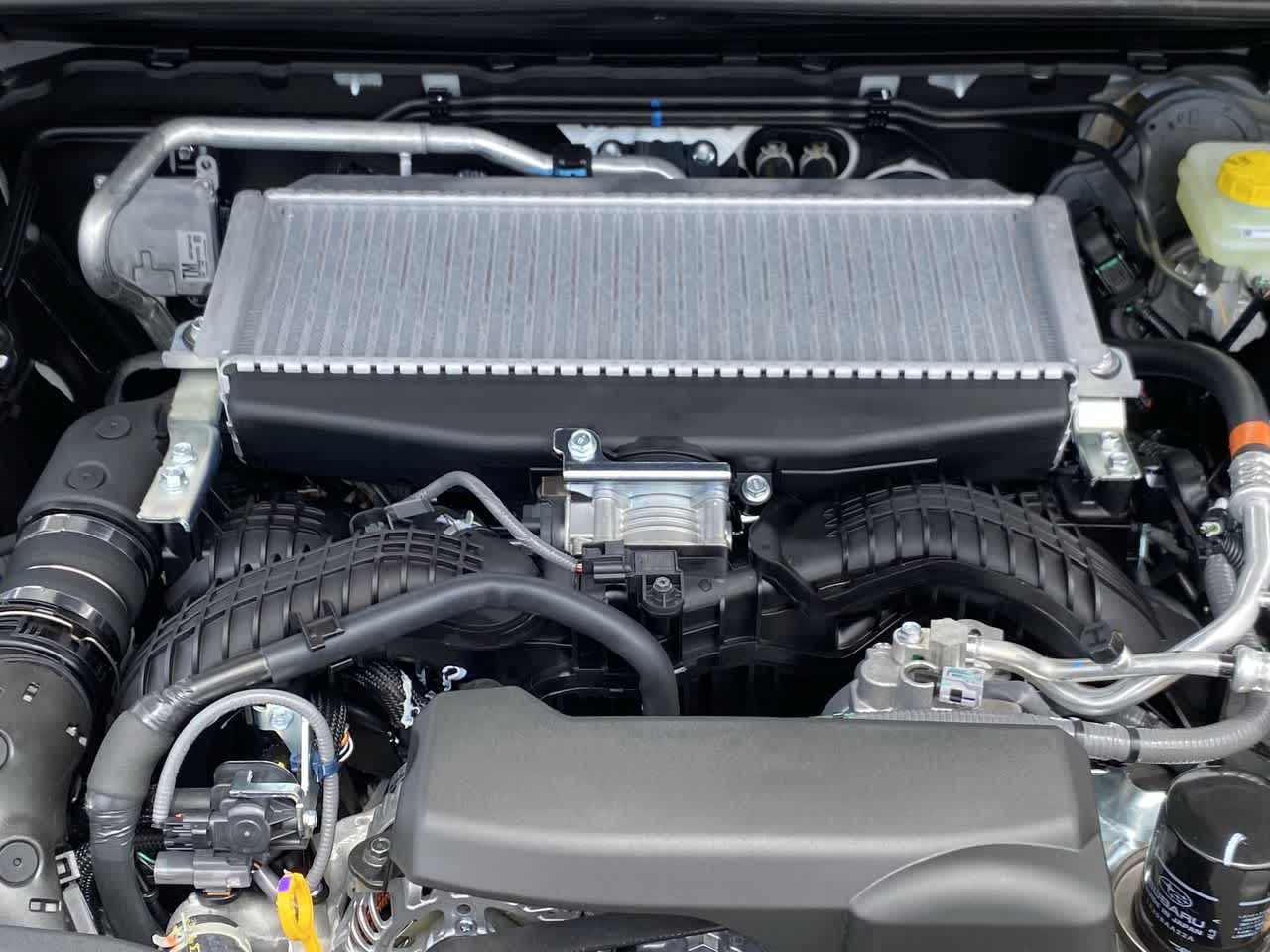 2025 Subaru Outback Wilderness 13