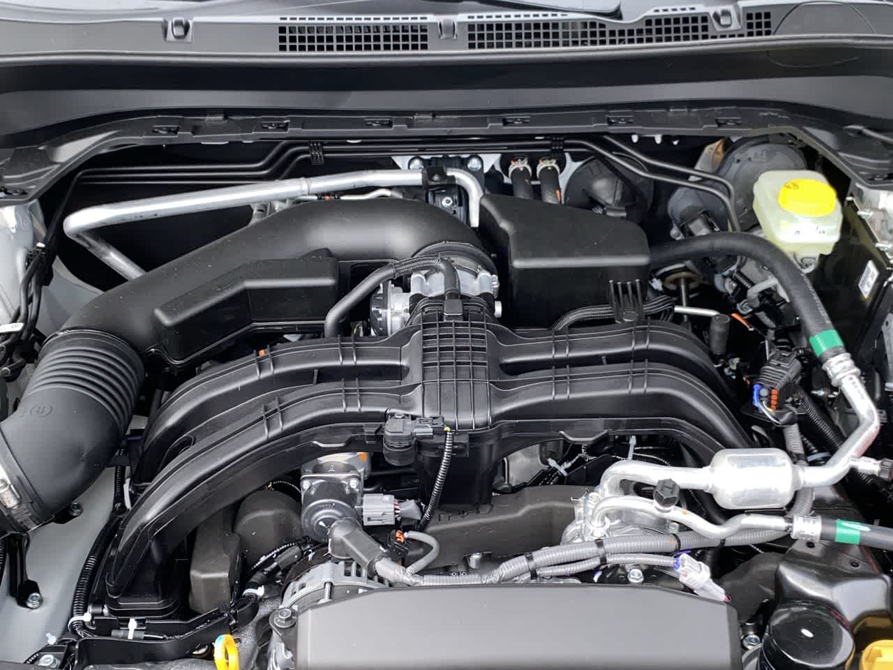 Thumbnail: 2026 Subaru Forester - 13