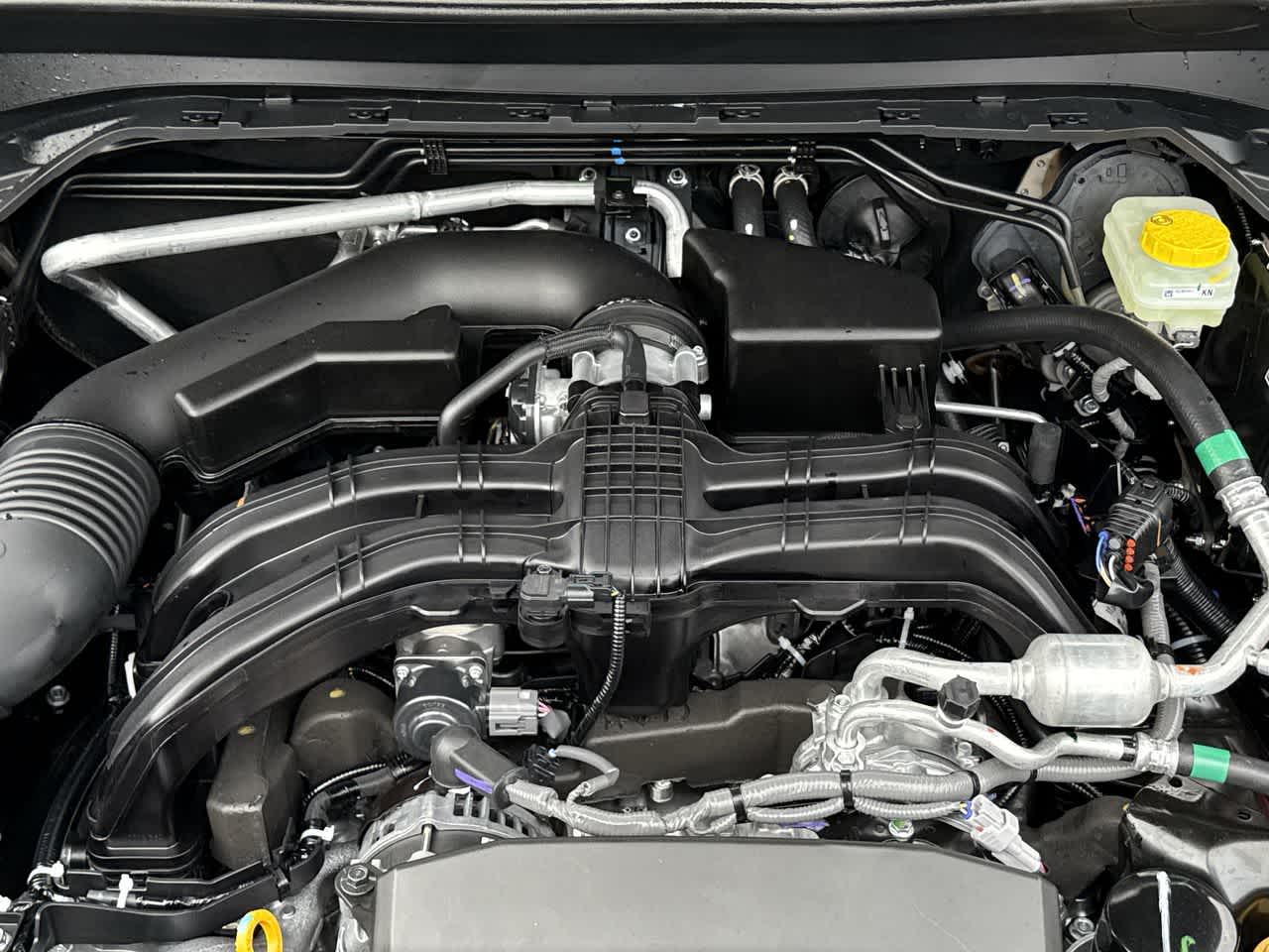 Thumbnail: 2026 Subaru Forester - 13