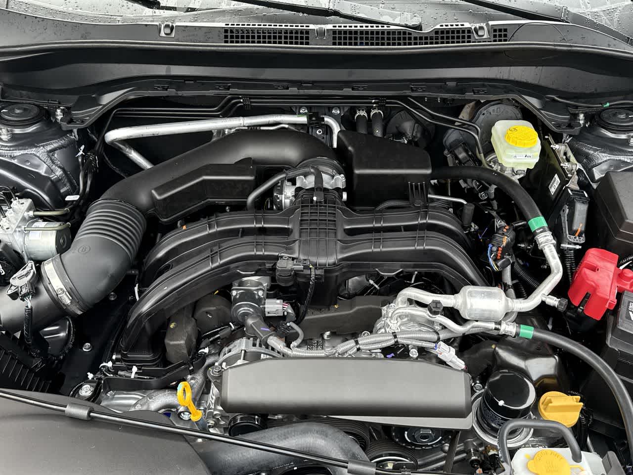 Thumbnail: 2026 Subaru Forester - 13