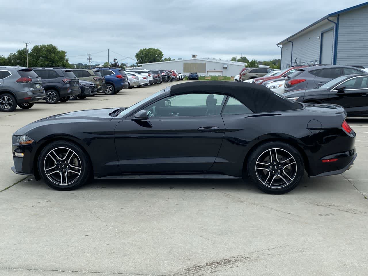 2020 Ford Mustang EcoBoost Premium photo 3