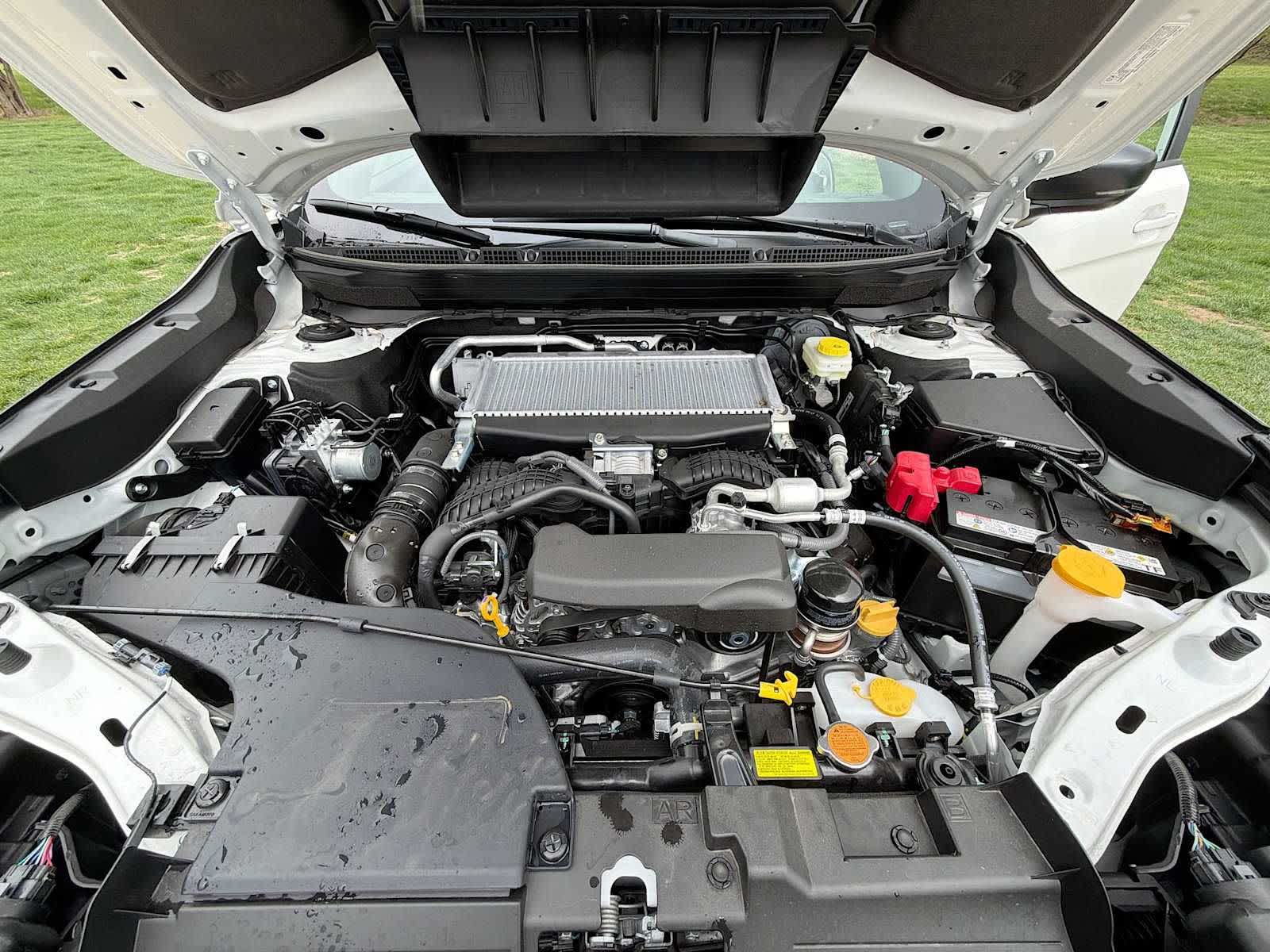2026 Subaru Outback Wilderness - Photo 11