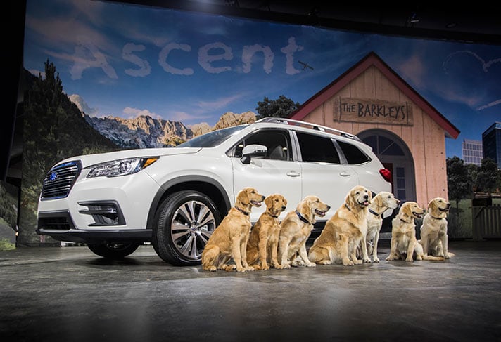 2019 Subaru Ascent Emerson NJ