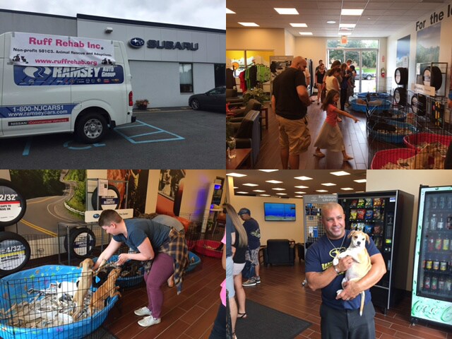 Adopt a Dog in Mahwah NJ