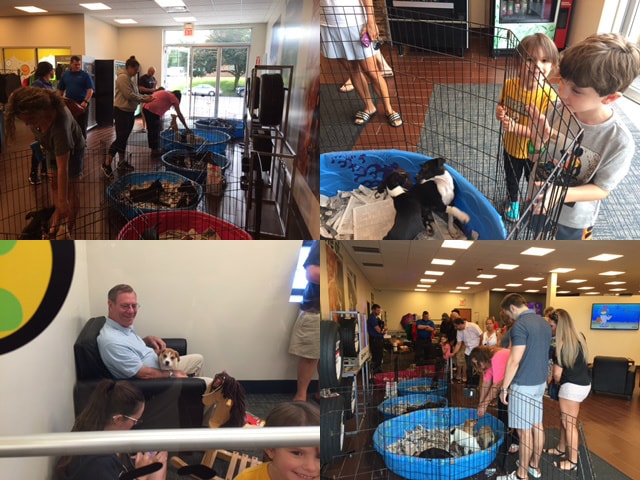 Ruff Rehab Dog Adoption Event Mahwah NJ