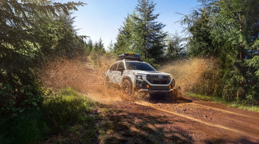 2026 Subaru Forester Wilderness
