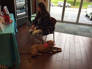 NJ Dog Adoption Events
