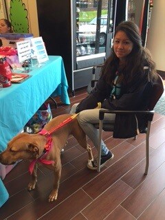 Animal Rescue R Us Adoption Event