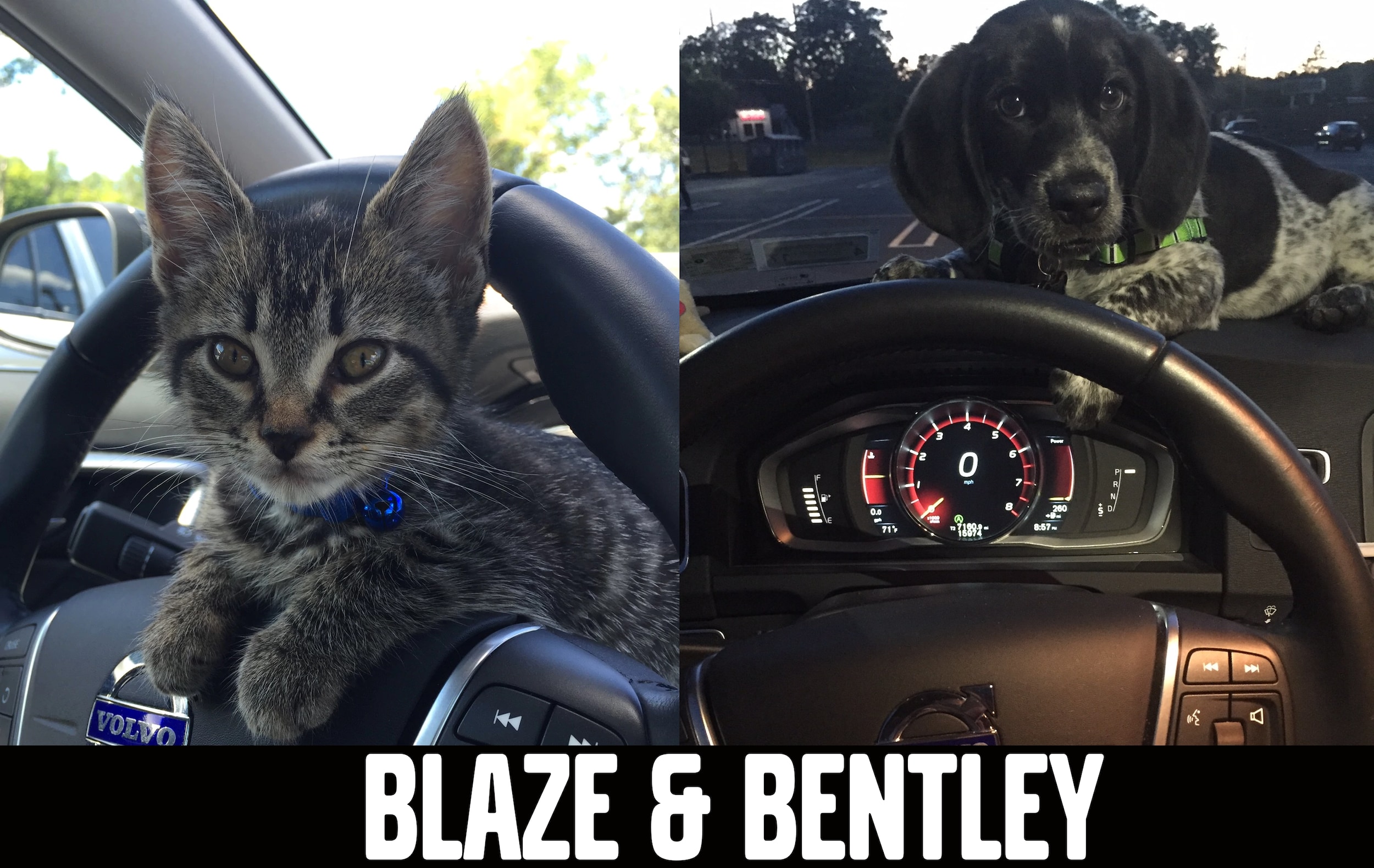 About Ramsey Volvo Volvo Dealer Serving Rockland County NY