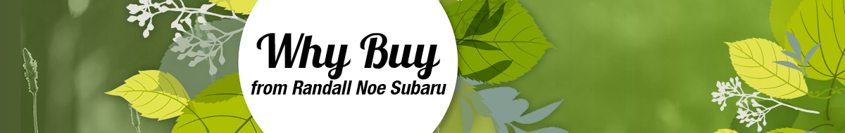 Why Buy from Randall Noe Subaru | Randall Noe Subaru