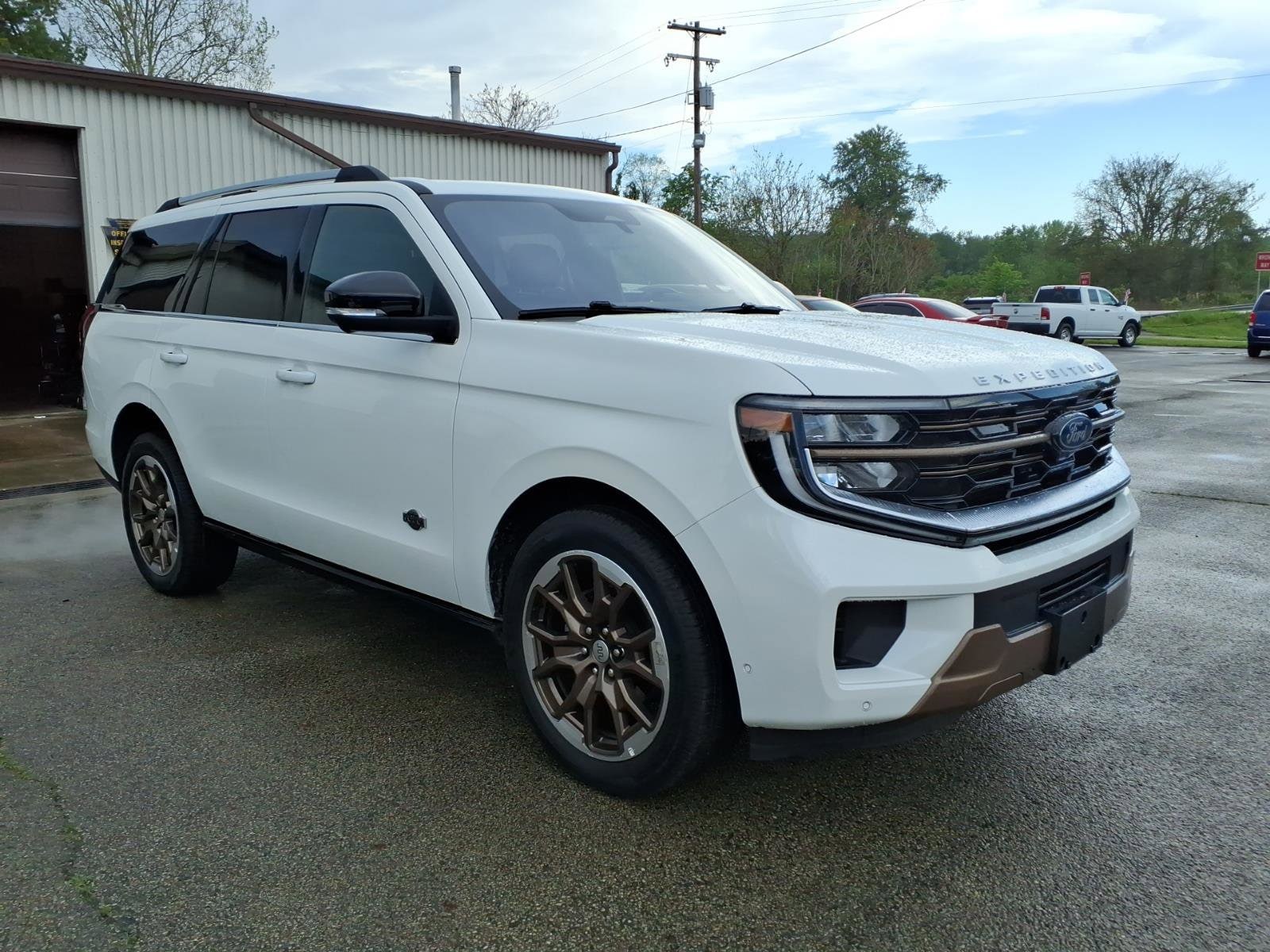 2025 Ford Expedition's photo