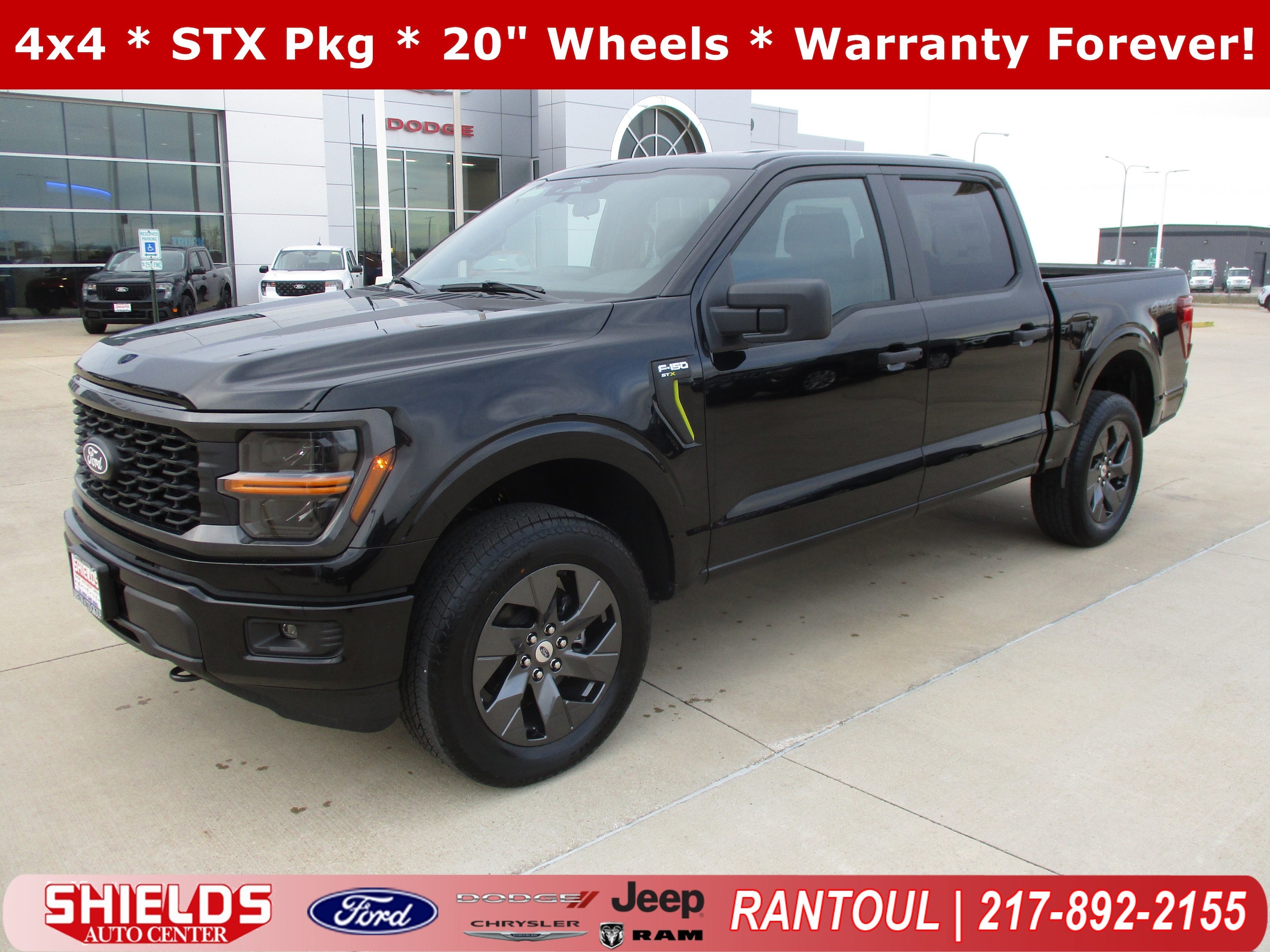 2025 Ford F-150 STX's photo