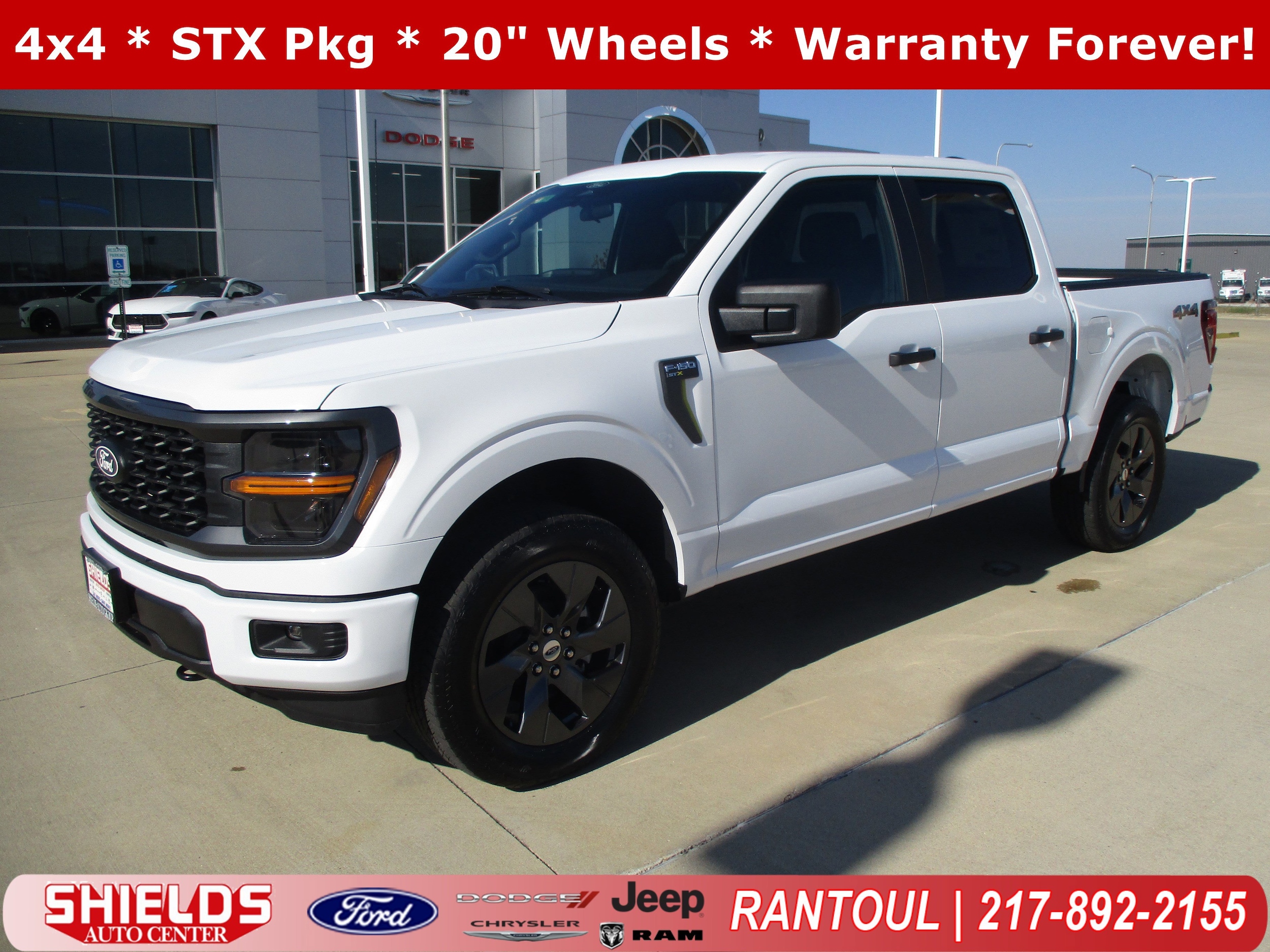 2025 Ford F-150 STX's photo