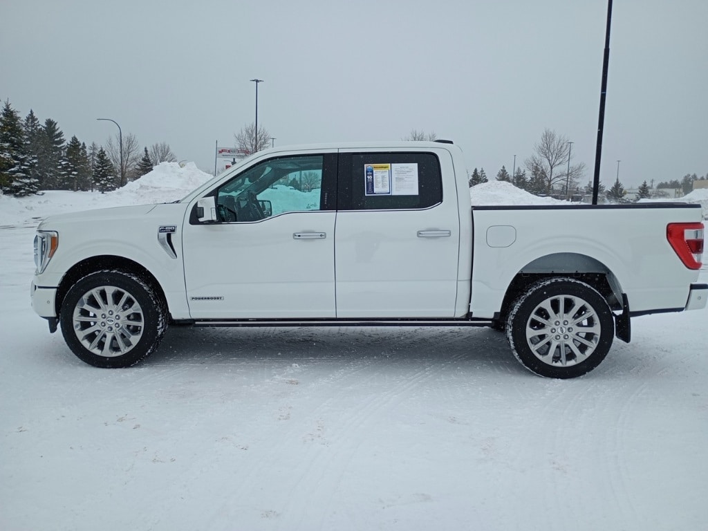 Used 2023 Ford F-150 Limited with VIN 1FTFW1ED6PFA13546 for sale in Grand Rapids, Minnesota