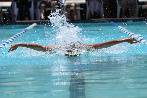 person swimming laps in a pool in Plano, TX