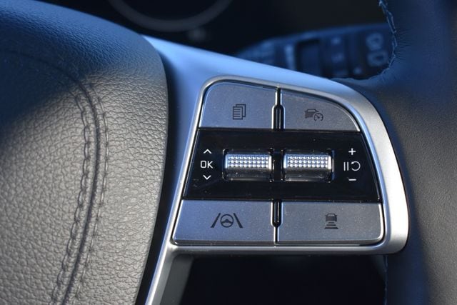 2025 Kia Telluride SX X-Line - Photo 29