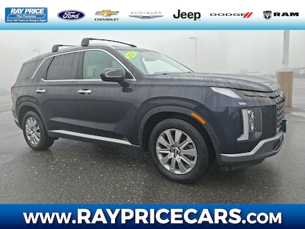 2023 Hyundai Palisade SEL SUV