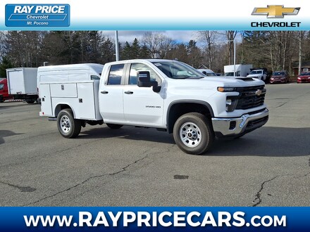 2025 Chevrolet Silverado 3500 HD WT Truck