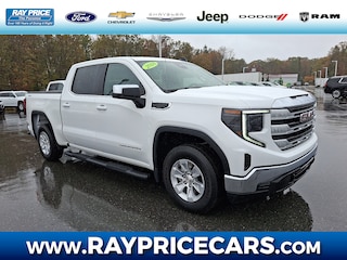 2024 GMC Sierra 1500 SLE Truck