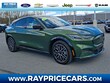  Ford Mustang Mach-E