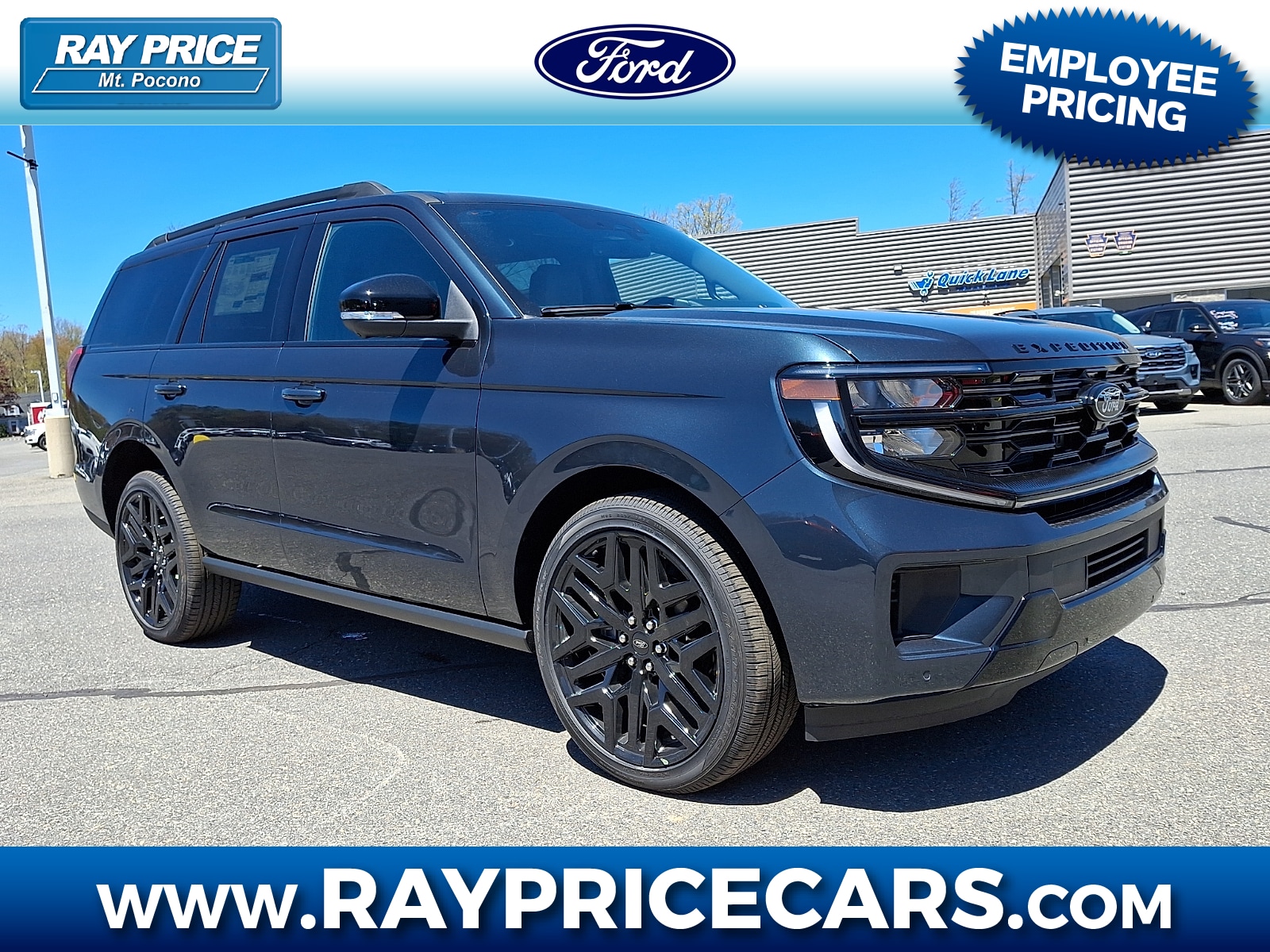 2026 Ford Expedition Platinum 4x4's photo