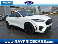 2025 Ford Mustang Mach-E SUV