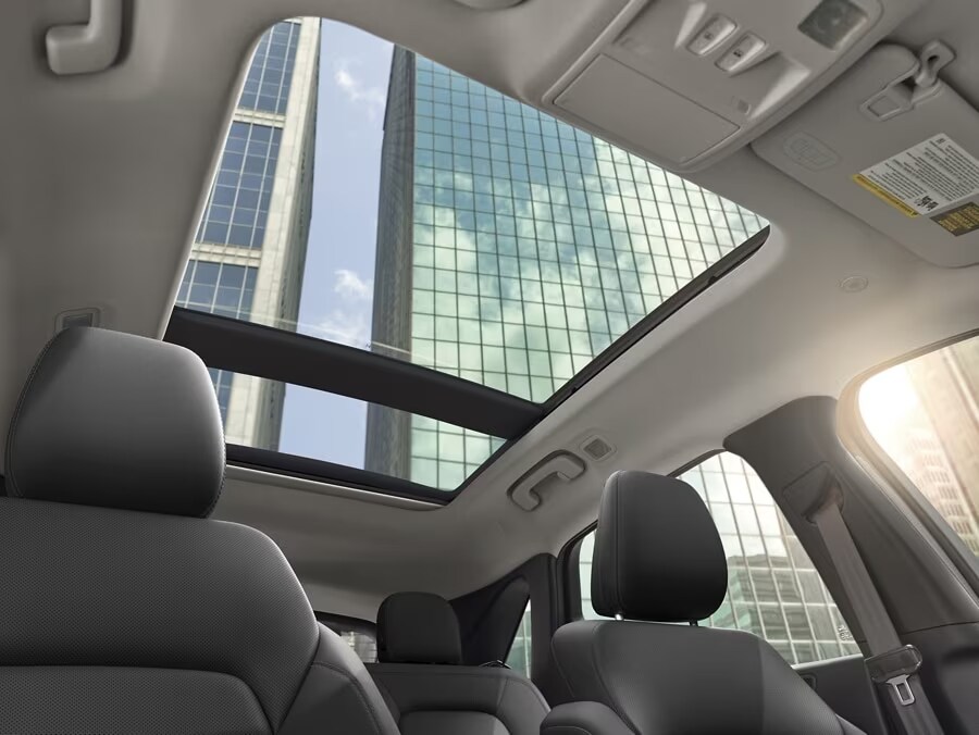 Panoramic Vista Roof