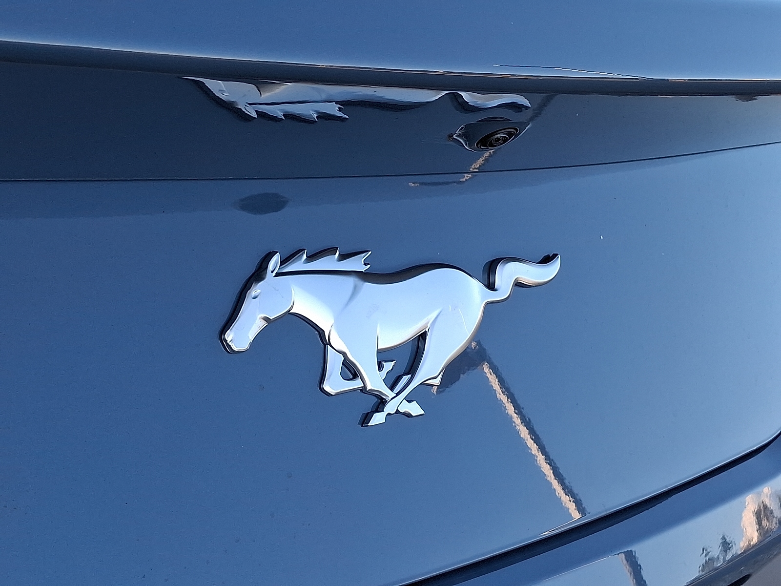 2025 Ford Mustang EcoBoost Fastback - Photo 19