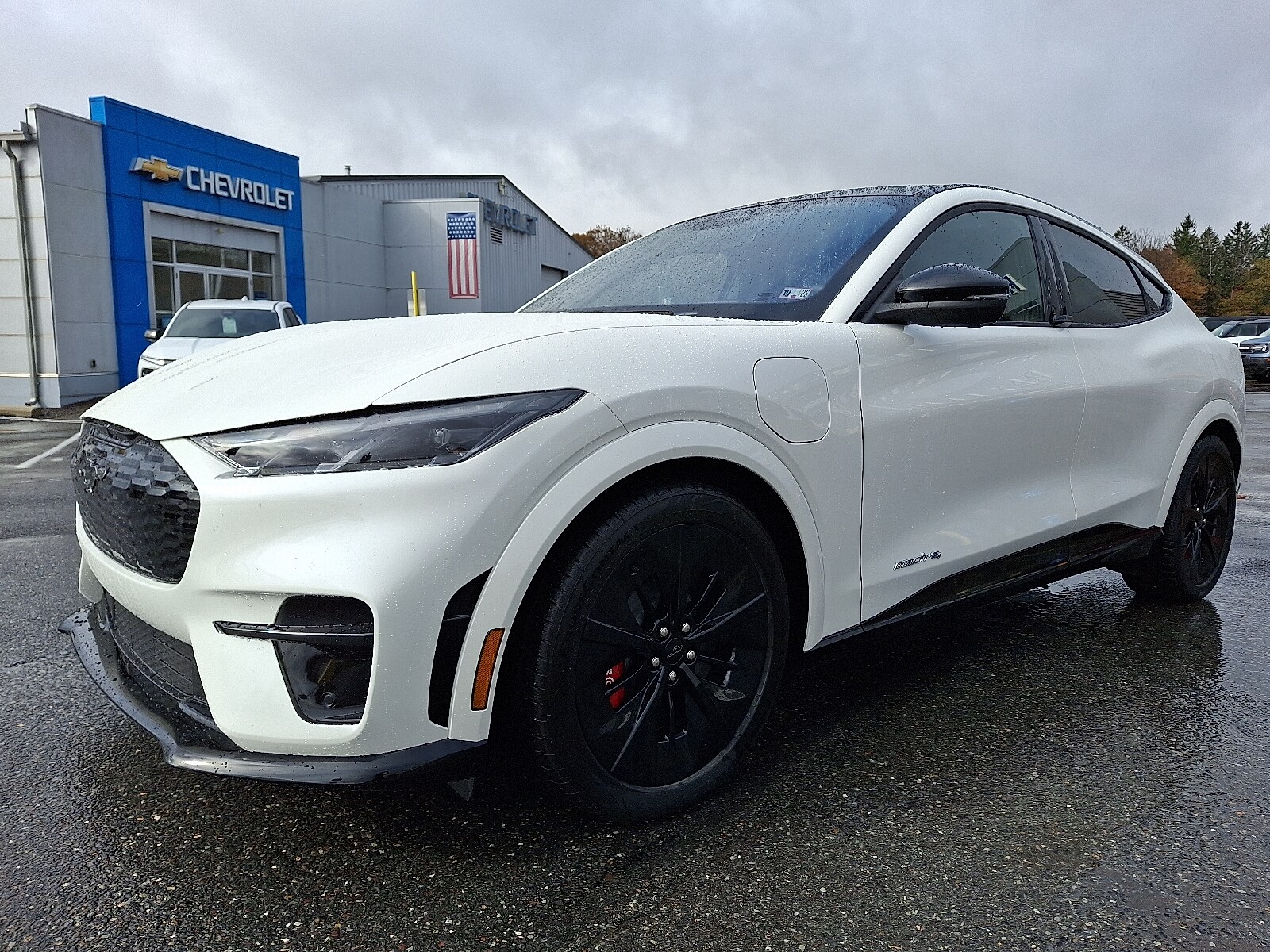 2025 Ford Mustang Mach-E GT photo 2