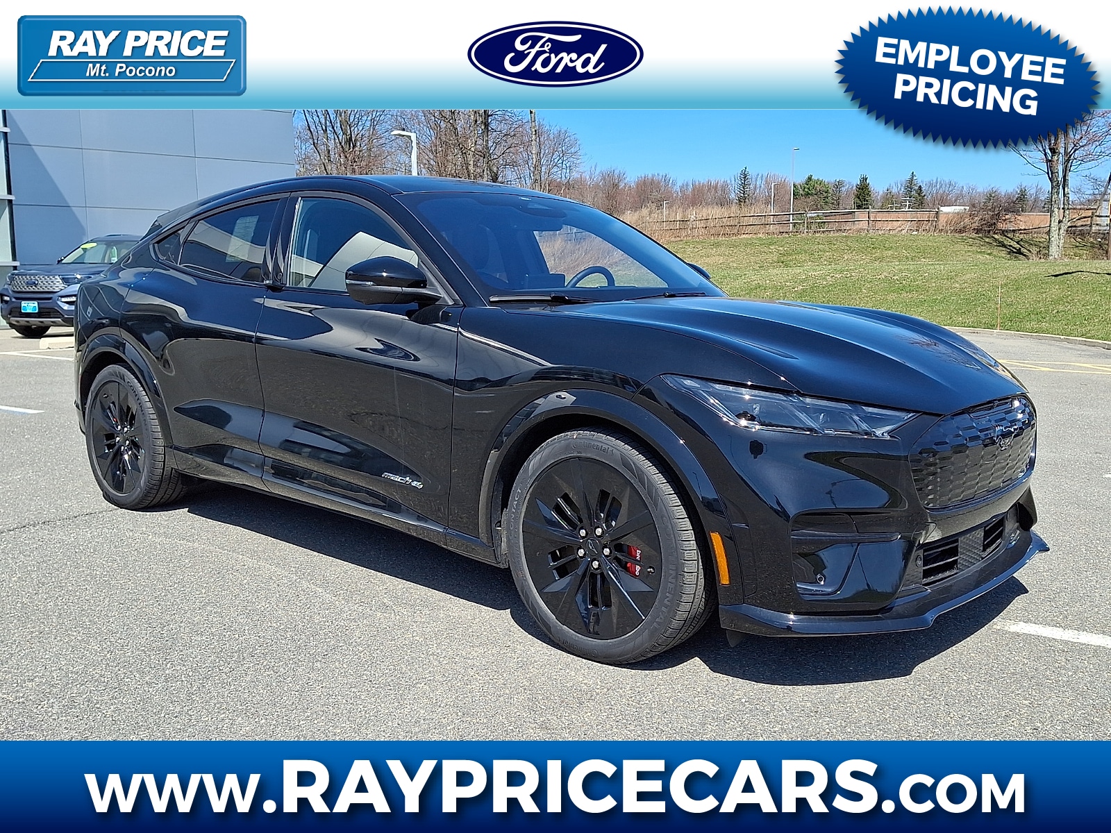 2025 Ford Mustang-Mach-e GT's photo