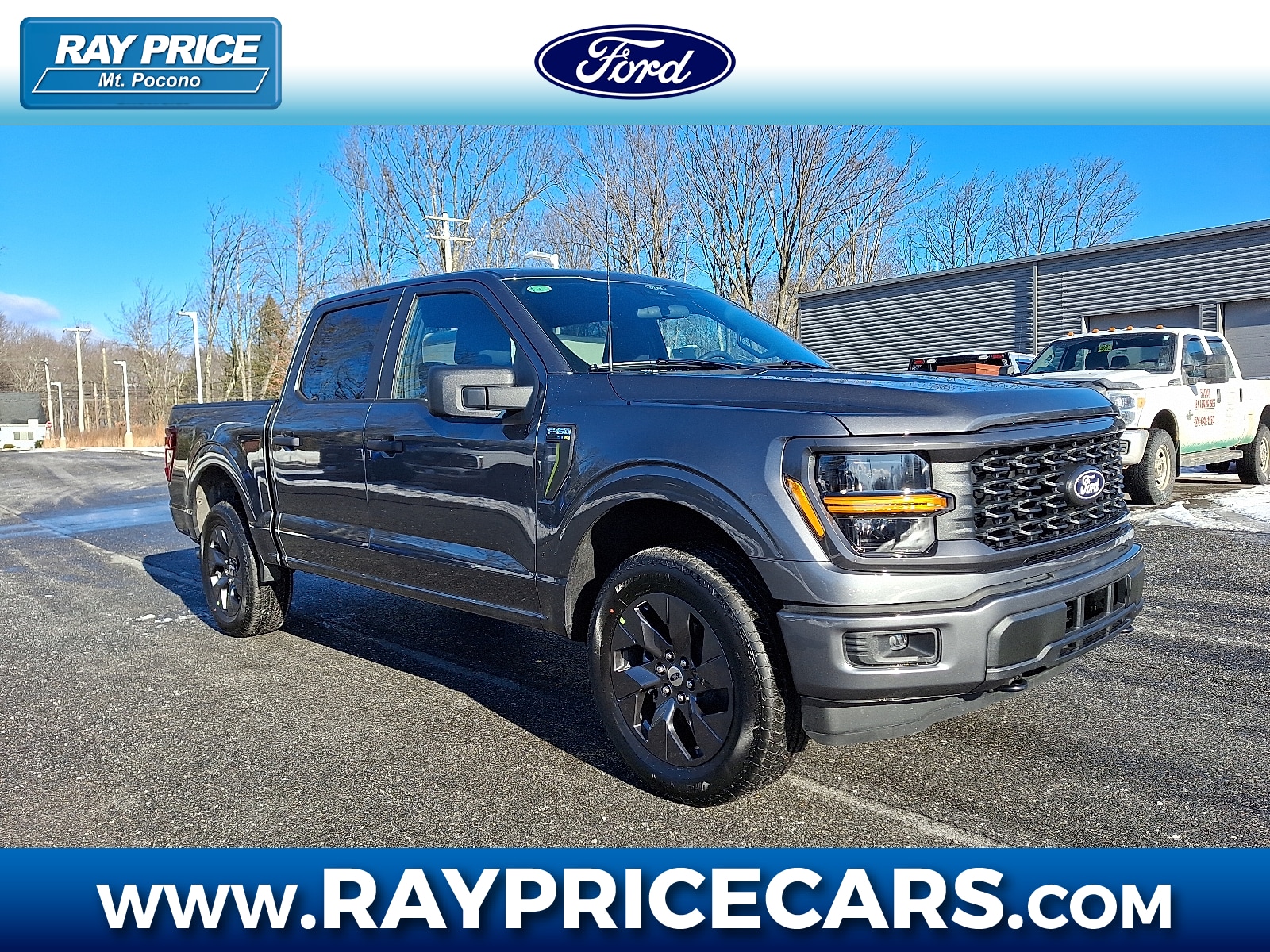 2025 Ford F-150 STX's photo