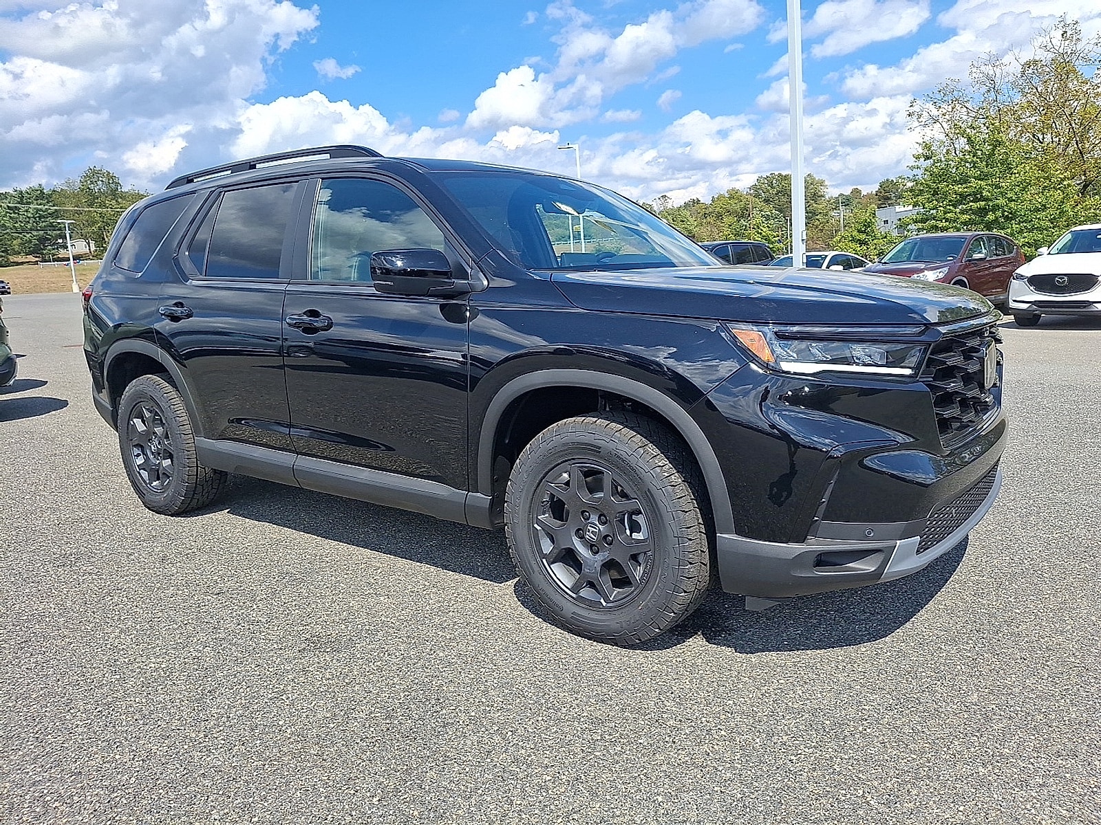 2025 Honda Pilot TrailSport's photo