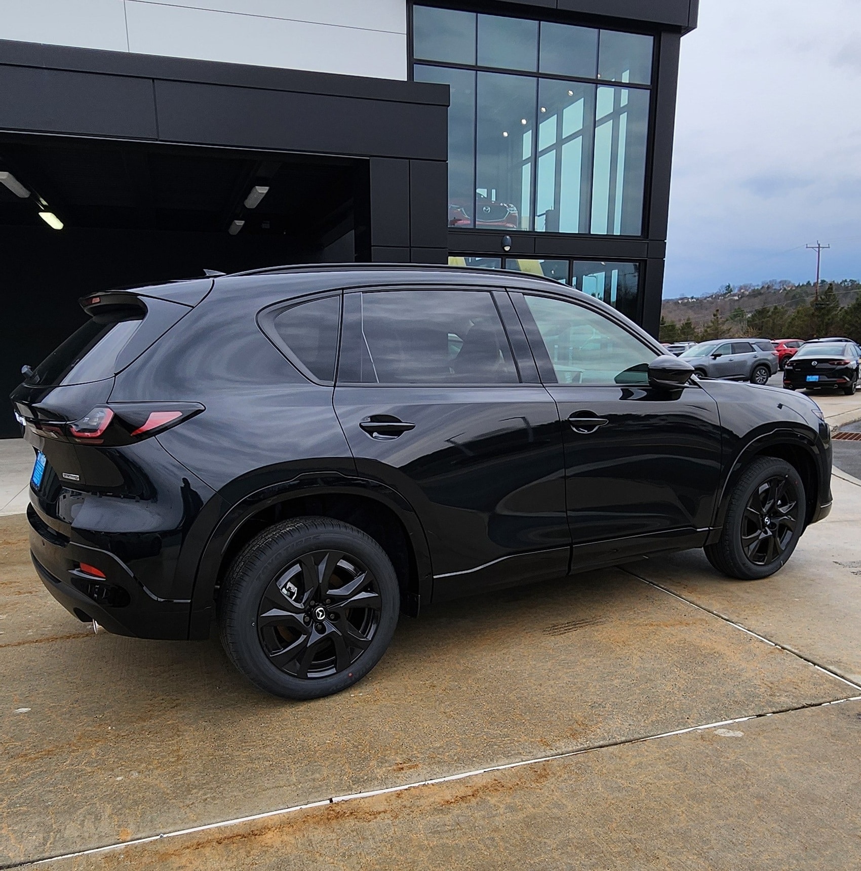 Performance, Comfort, and Everyday Driving