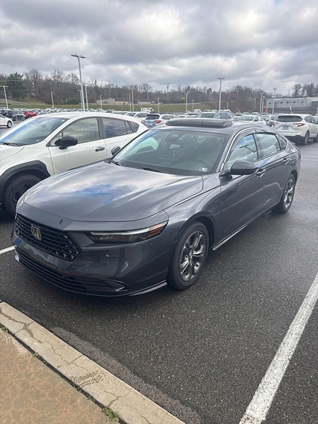 Used 2023 Honda Accord Hybrid EX-L Sedan
