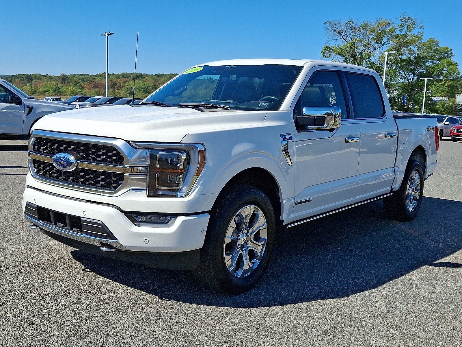 2023 Ford F-150 Platinum photo 3