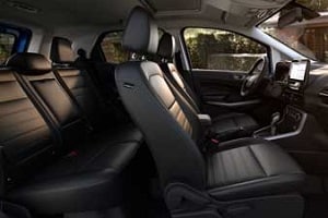2018 Ford EcoSport with Medium Stone interior