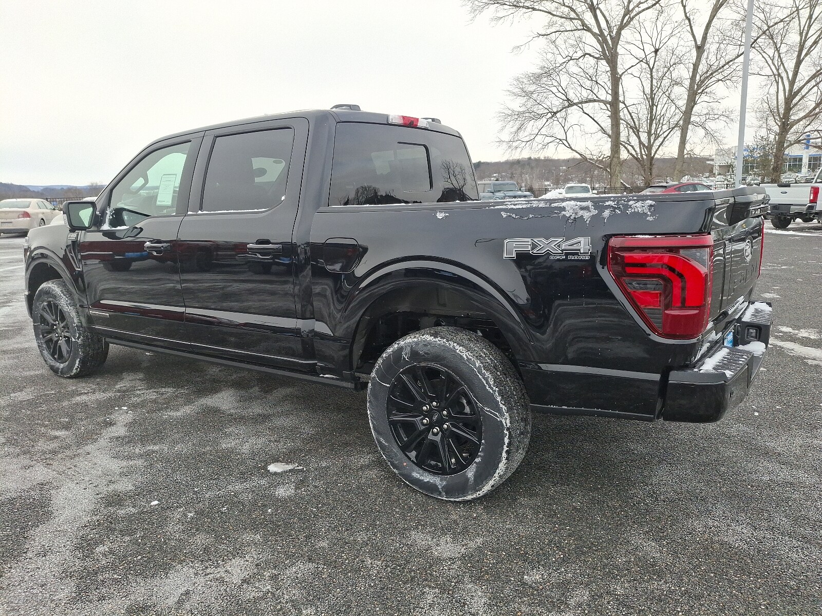 2025 Ford F-150 Platinum photo 3