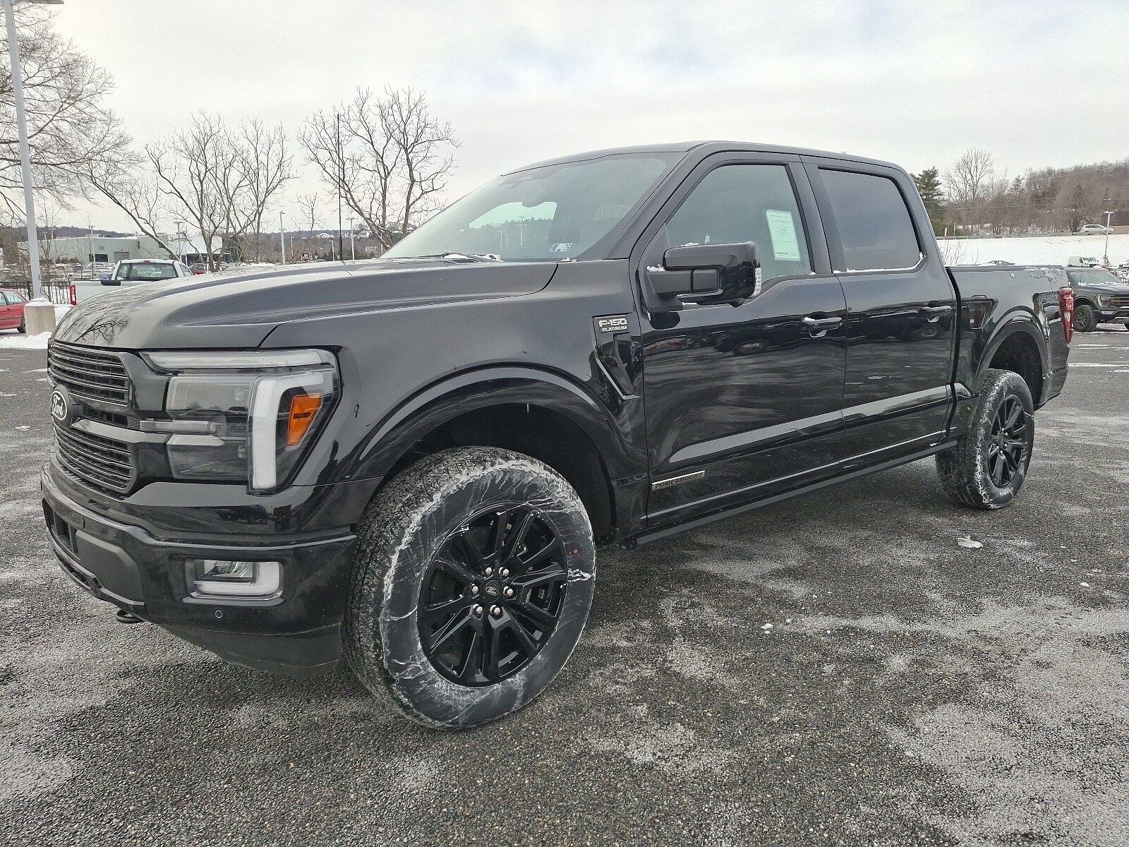 2025 Ford F-150 Platinum photo 2