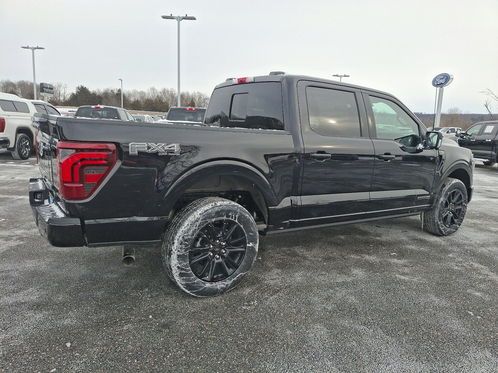 2025 Ford F-150 Platinum photo 4