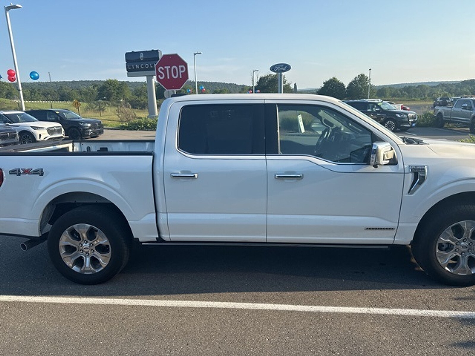 2023 Ford F-150 Platinum photo 2