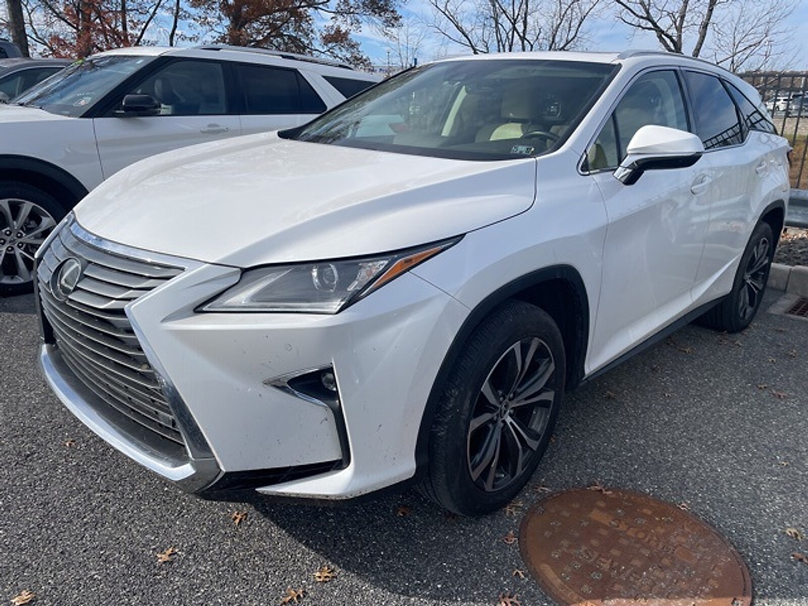 2019 Lexus RX 350L 350 photo 2