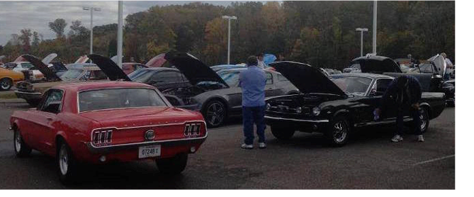 mustangs.png