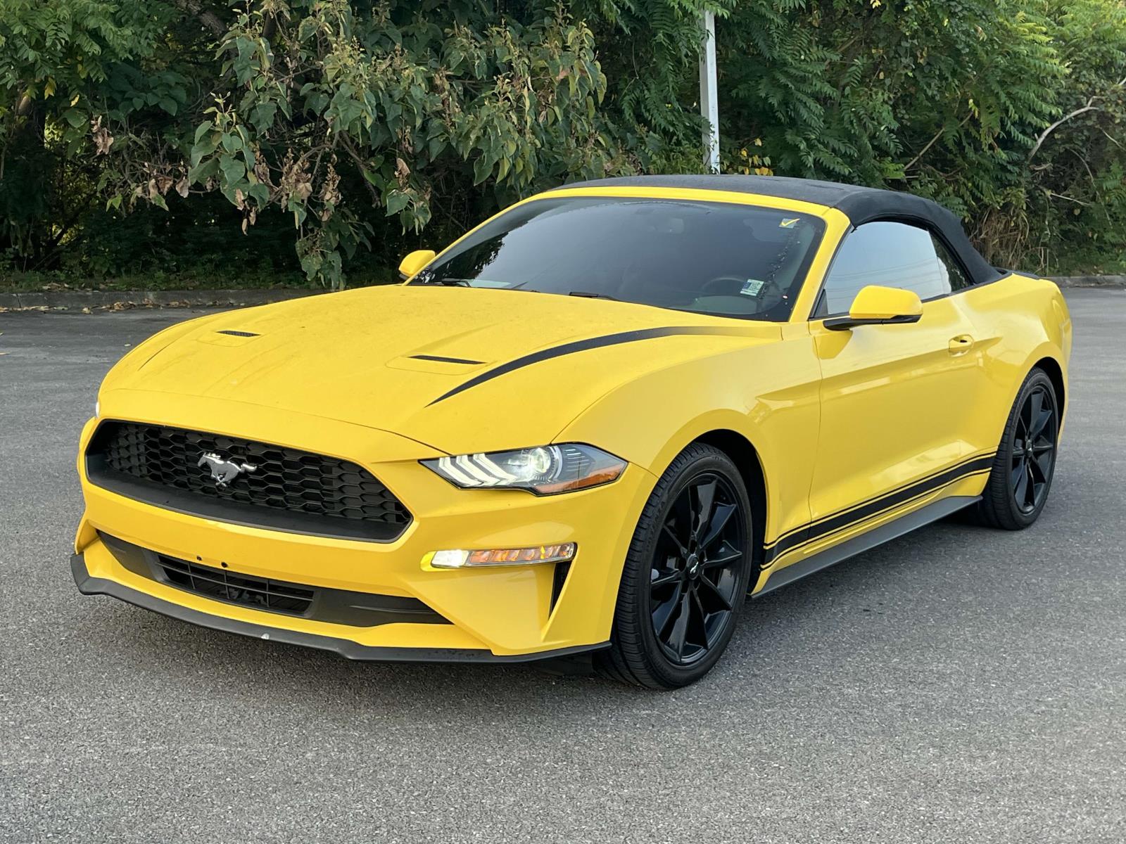 Used 2018 Ford Mustang EcoBoost with VIN 1FATP8UH8J5111509 for sale in Clinton, TN