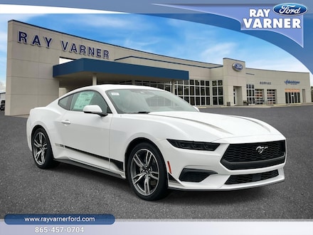 2025 Ford Mustang Ecoboost Premium Fastback CAR