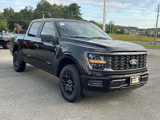 2025 Ford F-150 STX TRUCK