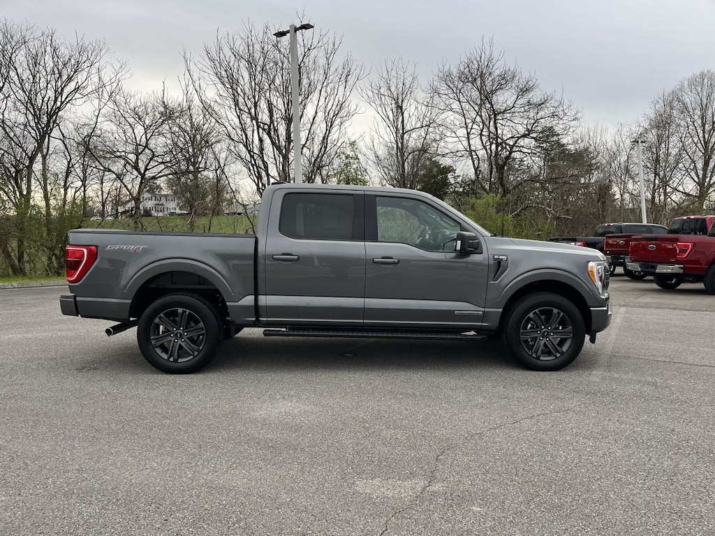 Used 2023 Ford F-150 XLT Truck